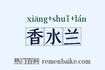 香水兰是什么意思的图片